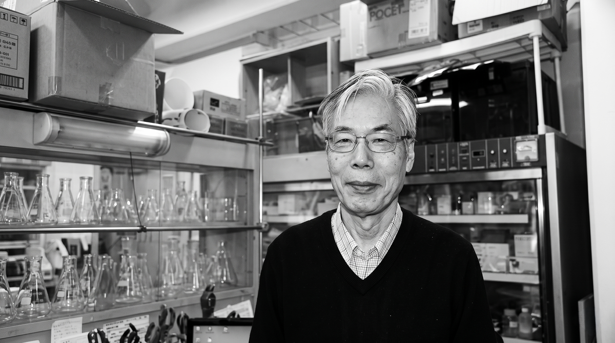 Natto &mdash; the fermented soybean food where nattokinase was first isolated